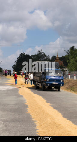 Le séchage du riz sur les travailleurs en râtelant une route fermée à Tra Vinh, Delta du Mekong, Vietnam. Banque D'Images