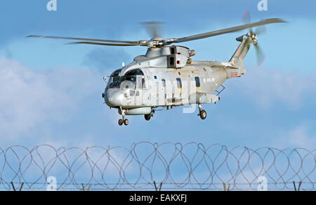 Merlin de la Marine royale MK2 des avions de la RNAS Culdrose Banque D'Images