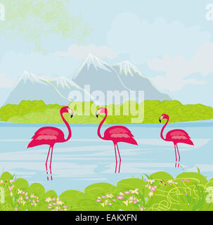 Trois flamants roses dans l'eau Banque D'Images