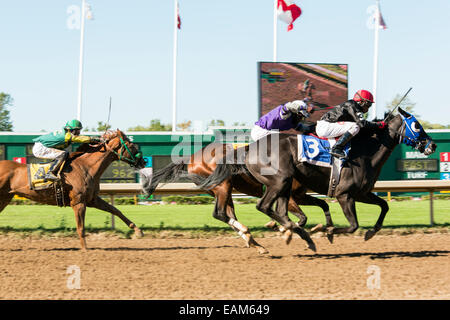 Canada,Ontario,Fort Erie, Fort Erie Race Track, course de chevaux Banque D'Images