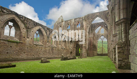 Reste spectaculaire du xii siècle abbaye de Tintern avec d'immenses murs et arcs qui s'élever dans le ciel bleu Banque D'Images