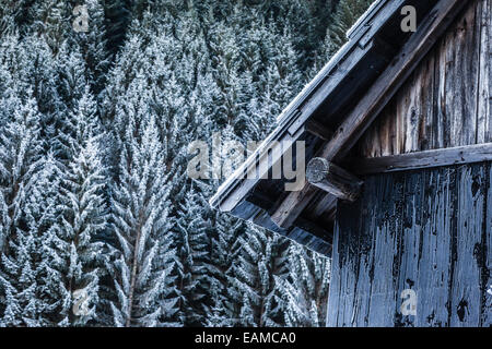 Détail d'une cabine congelé éloignées et isolées dans les bois en hiver Banque D'Images