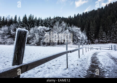 Un sentier rural avec une clôture en bois recouvert de givre et certains chalets dans les bois Banque D'Images