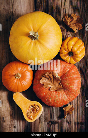 Citrouilles assortis Banque D'Images