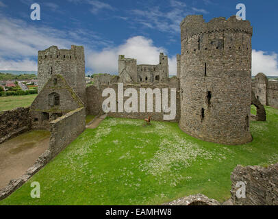 Vue du mur de pierre haute de l'impressionnante section & Tours de ruines du 13ème siècle château de Kidwelly sous ciel bleu au Pays de Galles Banque D'Images