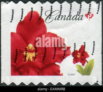 CANADA - circa 2007 : timbre-poste imprimé au Canada Montre fleur rouge de l'île d'Oncidium (syn.Odontioda Island Red), vers 2007 Banque D'Images