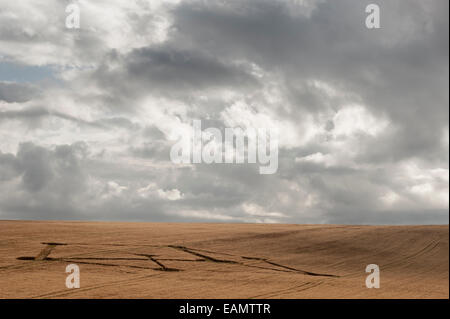 Motif de cercles de récolte dans un champ de blé, nr Winchester, Hampshire UK Banque D'Images