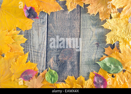 Automne feuilles jaunes sur le fond en bois Banque D'Images