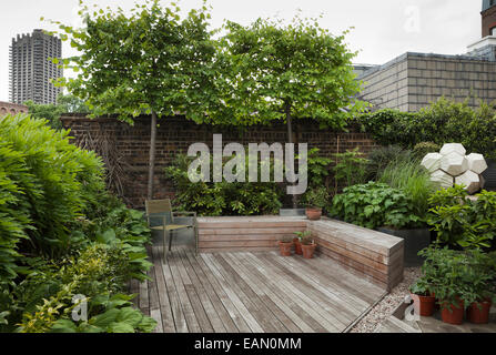 Zone pontés avec banc en bois, de stockage et de Glycine hostas à gauche et à l'arrière avec pleached limes sculpture géométrique moderne sur la droite avec Lemon Tree et les plants de tomates, Farringdon, Londres Banque D'Images