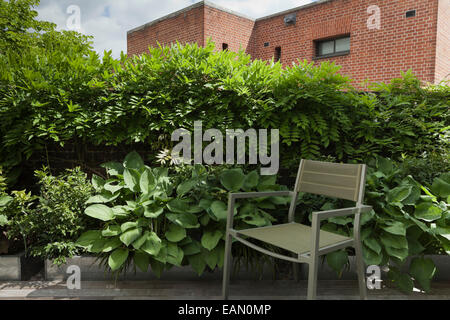 Coin tranquille de vacances terrasse jardin dans Farringdon, Londres, Royaume-Uni de glycine et hosta croissant dans les semoirs en acier de l'écran la terrasse partiellement Banque D'Images