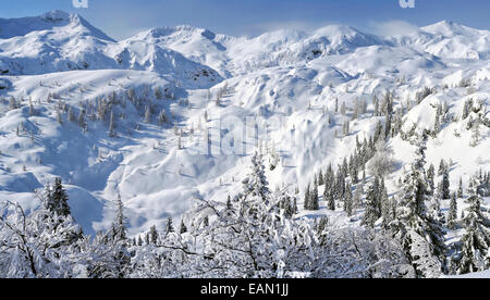 Paysage hiver neige dans les Alpes Juliennes en Slovénie - Podrta gora. Banque D'Images