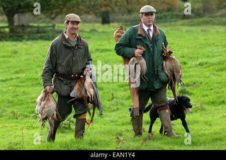 Tournage en faisan Wiltshire, Royaume-Uni Banque D'Images