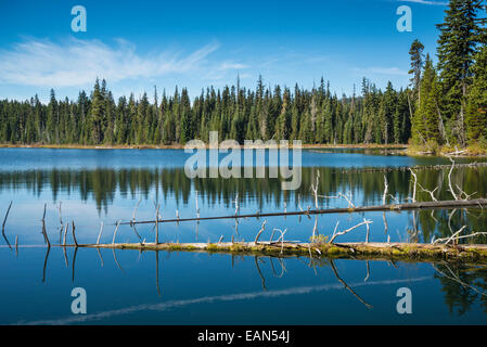 Marilyn Supérieur, lac, forêt nationale de Willamette en Oregon Banque D'Images