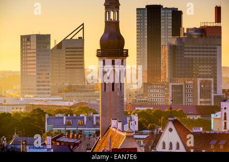 Tallinn, Estonie cityscape le matin. Banque D'Images