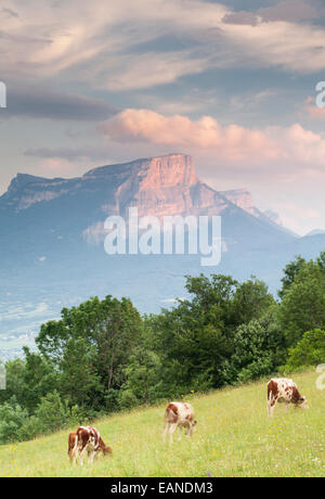 Le Granier vu l'apogée au La Chartreuse du Parc Naturel du Massif des Bauges, Savoie, Rhône-Alpes, France Banque D'Images