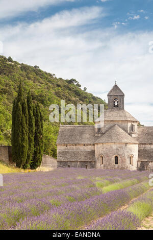 Abbaye Notre-Dame de Sénanque près de Gordes et village, Vaucluse, Provence, France Banque D'Images