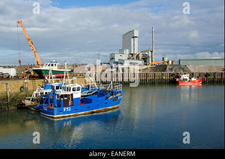 Bateaux de pêche dans le port de Whitstable. Ray Oly et Cardium II (bleu bateaux dans l'avant-plan) sont spécialisés cockle dragueurs Banque D'Images