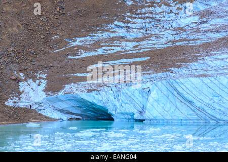 Nature Canada Banque D'Images