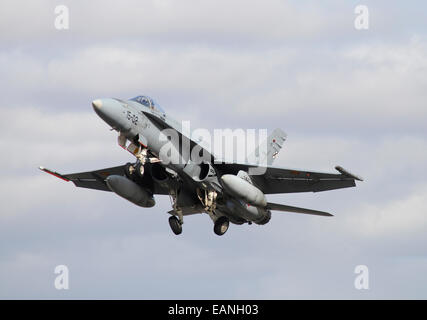 Spanish Air Force EF-18M Hornet décollant de la base aérienne d'Albacete, en Espagne, au cours de l'OTAN la TLP. Banque D'Images