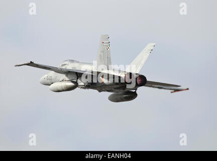 Spanish Air Force EF-18M Hornet décollant avec postcombustion complet à partir de la base aérienne d'Albacete, en Espagne, au cours de l'OTAN la TLP. Banque D'Images