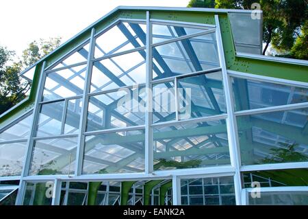 La vue rapprochée de gaz à effet de cadre à parkThe vue rapprochée des émissions de cadre au park Banque D'Images