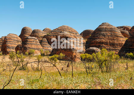 Dans les ruches, le Purnululu Kimberley, WA, Australie Banque D'Images