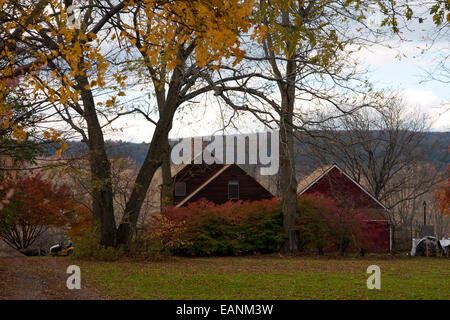 Deerfield, Massachusetts, Deerfield, historique Old Deerfield, ferme, campagne, automne, saison, feuillage Banque D'Images