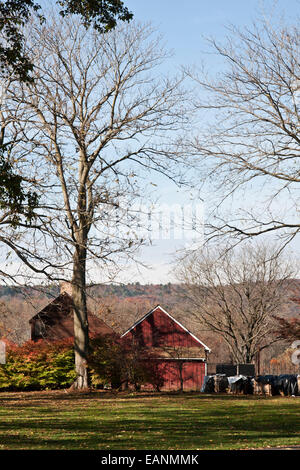 Deerfield, Massachusetts, Deerfield, historique Old Deerfield, ferme, campagne, automne, saison, feuillage Banque D'Images