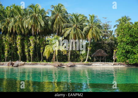 La Côte Tropical avec des cocotiers et une cabane de chaume, Caraïbes, Zapatillas islands, Bocas del Toro, PANAMA Banque D'Images