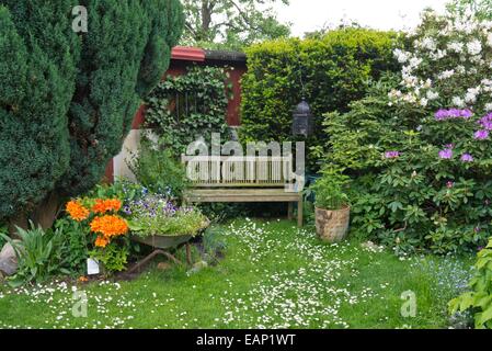 Coin salon avec rhododendrons (rhododendron) et daisy commun (Bellis perennis) Banque D'Images