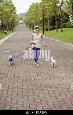 Femme marche deux chiens sur un chemin pavé. Banque D'Images
