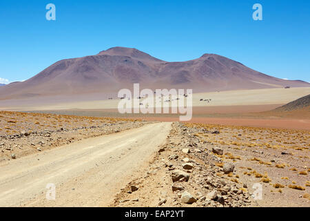 La Bolivie altiplano désert de Dali Banque D'Images