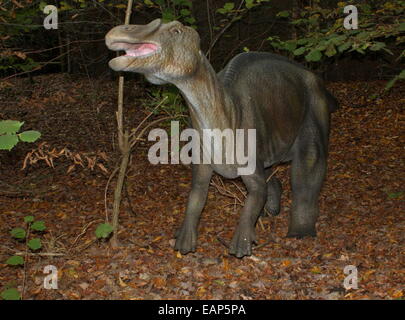 Probactrosaurus, une moyenne de l'époque du Crétacé supérieur de Chine, dinosaure herbivore à Amersfoort, Pays-Bas Dinopark Zoo Banque D'Images