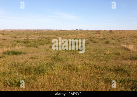 Prairies rurales champs ouverts bengough Saskatchewan Canada Banque D'Images