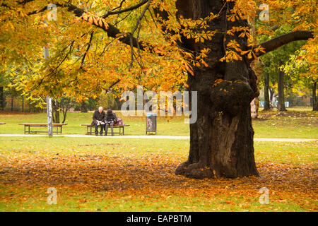 D'âge mûr assis dans un parc à l'automne de châtaignier. Banque D'Images