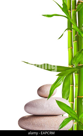 Still Life Spa avec des pierres blanches et des germes de bambou avec de l'espace libre pour le texte Banque D'Images