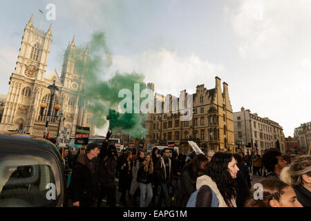 Londres, Royaume-Uni. 19 novembre, 2014. L'ensemble des anarchistes de flare à l'extérieur du Parlement. Credit : Lewis Inman/Alamy Live News Banque D'Images