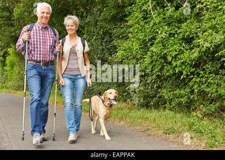 Happy senior couple randonnées avec le labrador retriever dog en été Banque D'Images