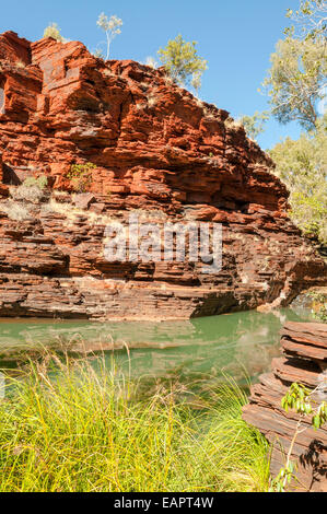 Piscine dans la gorge Kalamina, NP Karijini, WA, Australie Banque D'Images