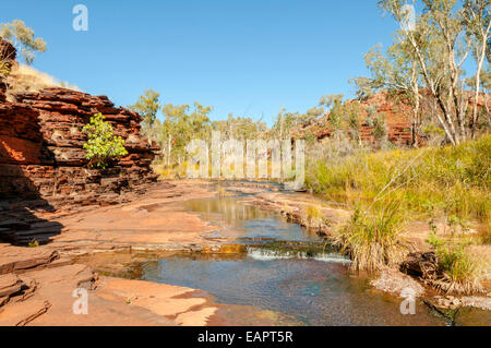 Gorge Kalamina, NP Karijini, WA, Australie Banque D'Images