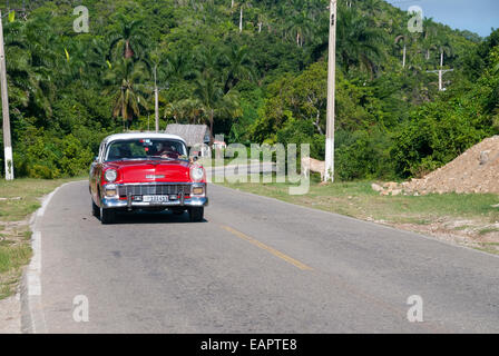 Un classique 1955 Chevrolet Bel Air utilisé comme taxi touristique voyages sur une route rurale près de La Havane Cuba Banque D'Images