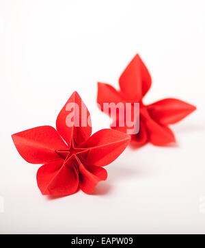 Fleurs origami rouge