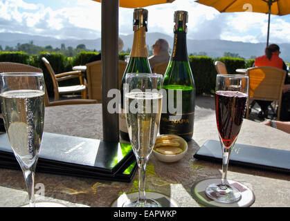 Vin mousseux taster sélection à Mumm Napa Winery en Californie Rutherford Banque D'Images