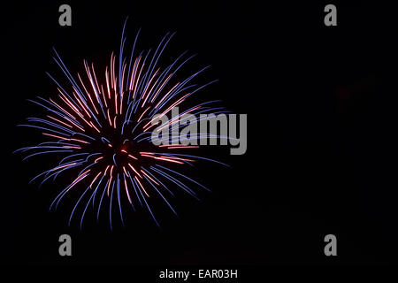 D'artifice de couleurs vives dans le ciel de nuit Banque D'Images