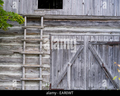 Weathered barn journal avec loft échelle. Un old weathered barn journal  maintenant entouré de bois a une échelle fixée pour l'accès à un op Photo  Stock - Alamy