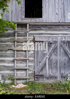 Weathered barn journal avec loft échelle. Un vieux journal patiné grange a une échelle fixée pour l'accès à un loft ouvert la porte. Banque D'Images