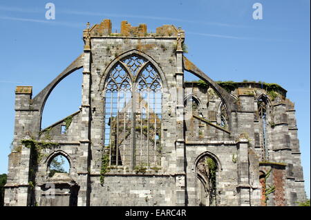 Ruines de l'abbaye d'Auine Cistercienzer à Gozee. Ardennes Belge Banque D'Images