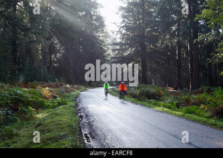 Les cyclistes le long de Rhinefield Ornamental Drive. Parc National de New Forest. Le Hampshire. L'Angleterre. UK. Banque D'Images