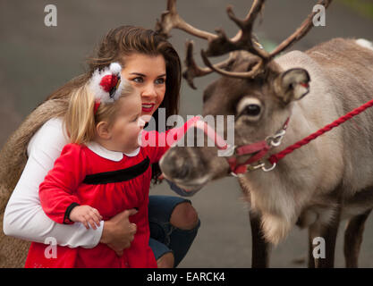 ZSL, le Zoo de Londres, Regent's Park, Royaume-Uni. 20 novembre, 2014. Imogen Thomas modèle et sa fille Ariana obtenez les fêtes à un départ pétillant comme le premier à rencontrer le Père Noël à ZSL aujourd'hui. L'ancienne Miss Pays de Galles lui donne sa fille de 19 mois et un joyeux jour dehors, mettre le pied à fermer avec des rennes du Père Noël avant de rencontrer l'homme-en-rouge lui-même. Credit : Malcolm Park editorial/Alamy Live News Banque D'Images