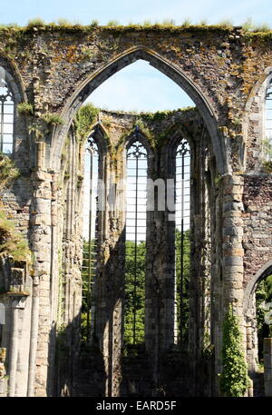 Ruines de l'abbaye d'Auine Cistercienzer à Gozee. Arddennes belge Banque D'Images